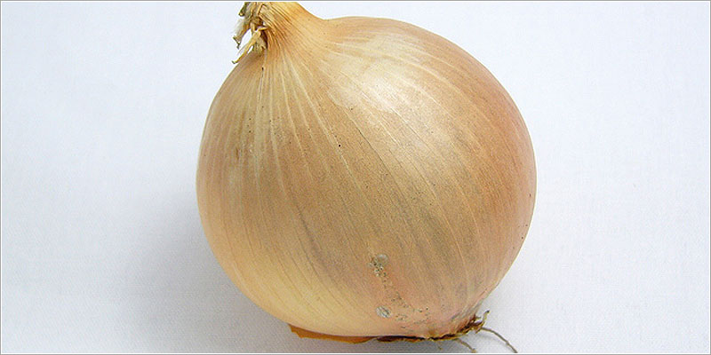 タマネギ（Onion）
