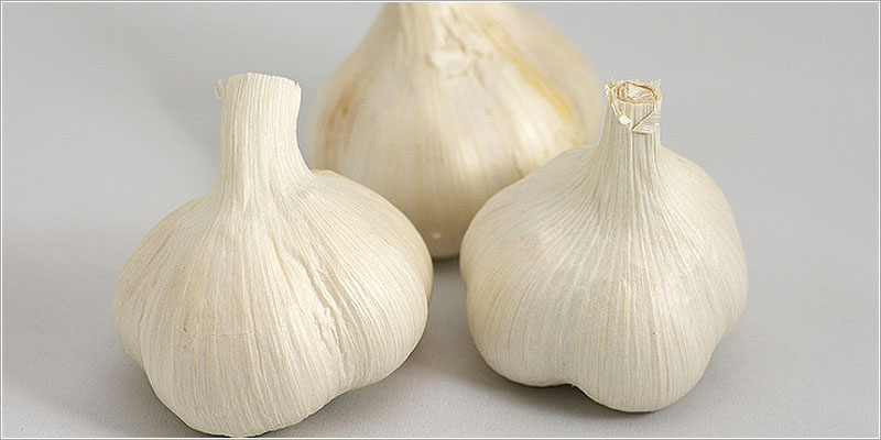 ニンニク（Garlic）