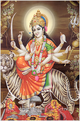 大割引 インド最強の女神 ドゥルガー 312g その他